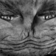 Illustration for article titled Upside-Down Portraits Of Human Faces Look Like Creatures From Space